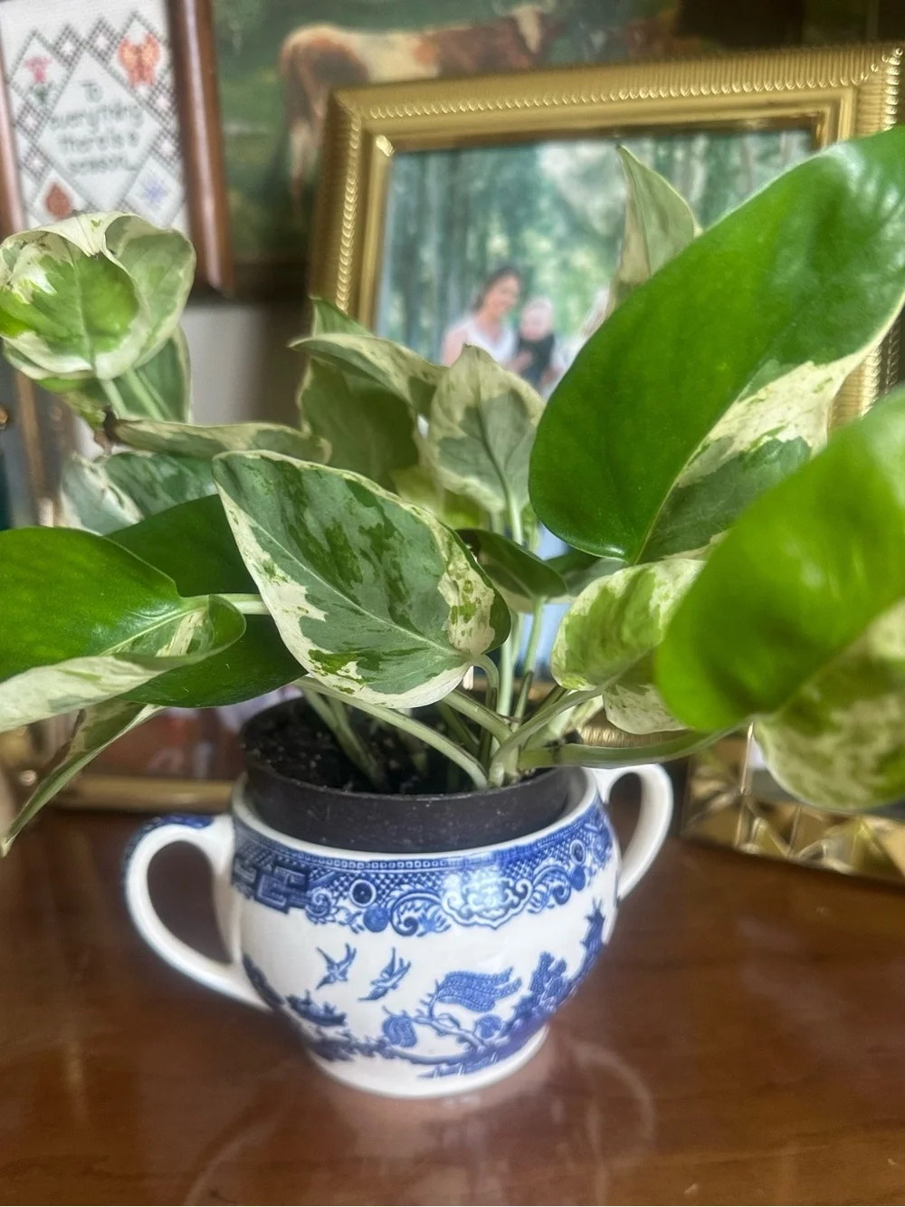 Johnson Brothers England Blue Willow Container